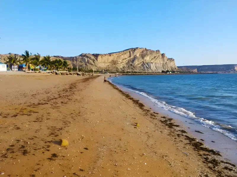 ساحل تیس