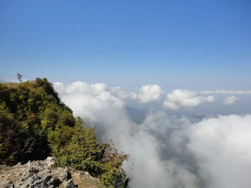 چکل سر