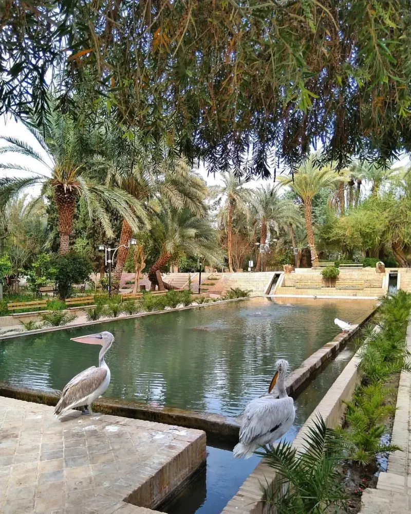 باغ گلشن طبس - تصویر 7