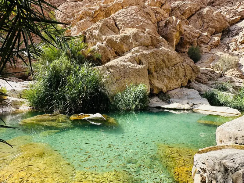 تخت عروس - تصویر 9