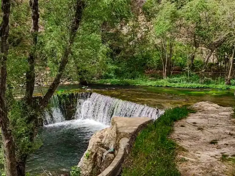روستای سفید برگ - تصویر 1