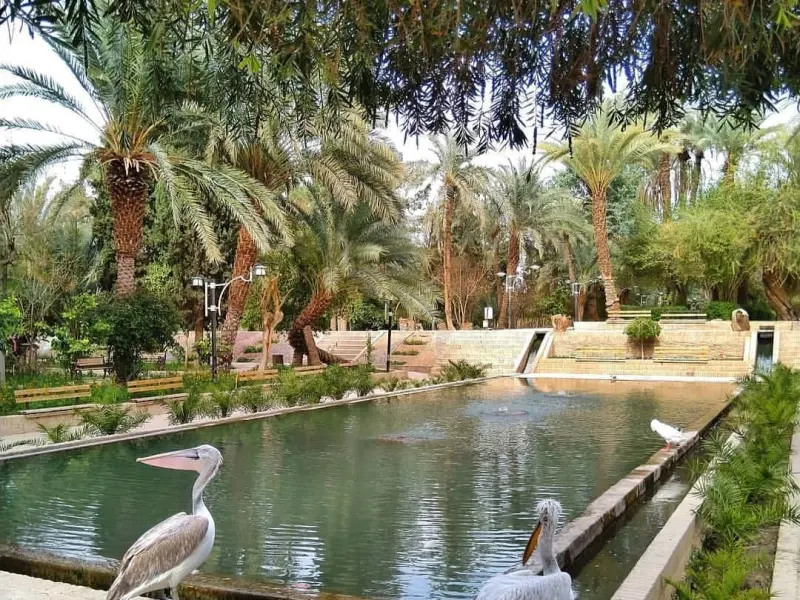 باغ گلشن طبس - تصویر 7