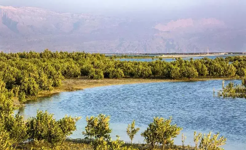 ساحل نایبند - تصویر 4