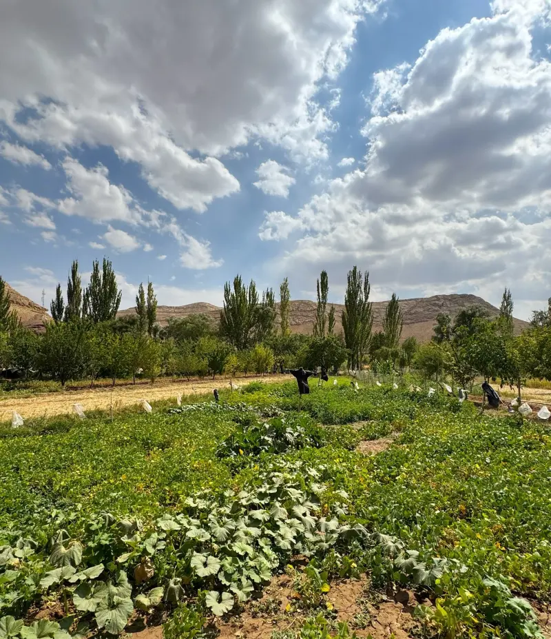 روستای پنداس - تصویر 6