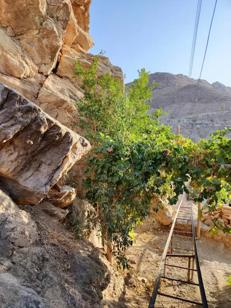 روستای قلعه بالا - تصویر 9