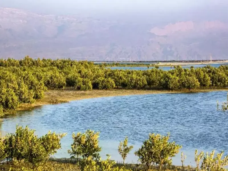 ساحل نایبند - تصویر 4