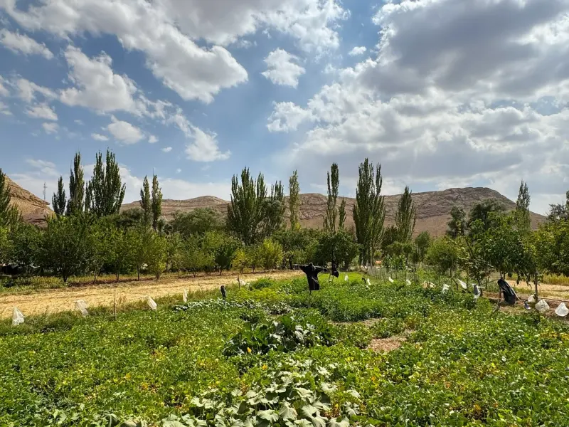 روستای پنداس - تصویر 6