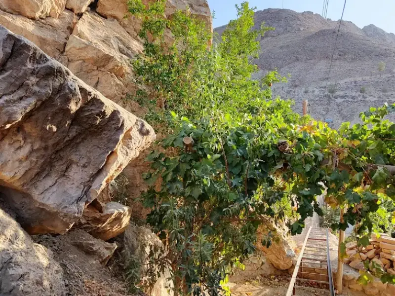 روستای قلعه بالا - تصویر 9