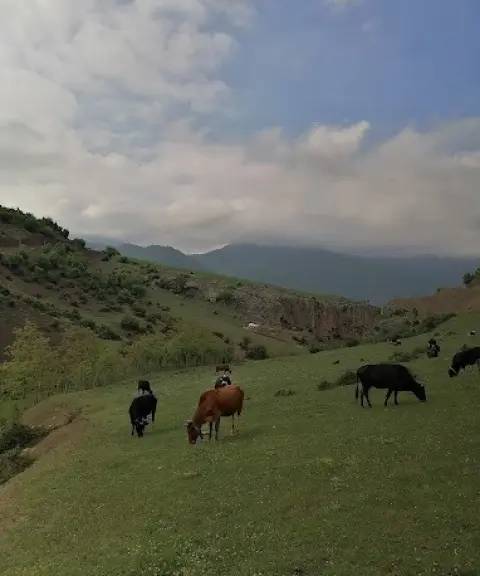 منطقه حفاظت‌شده واز، مازندران