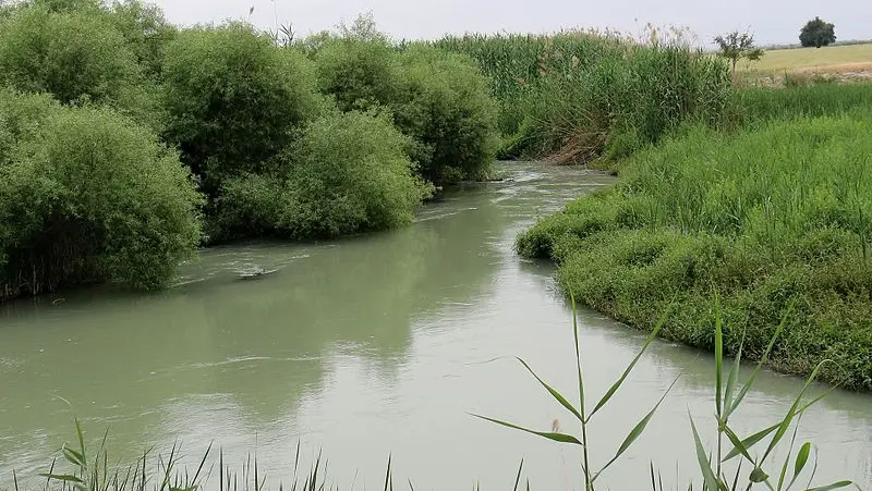 رودخانه شاوور - تصویر 3
