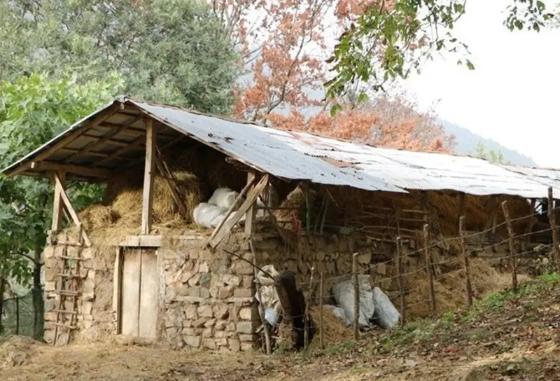 روستای گالشکلا - تصویر 2