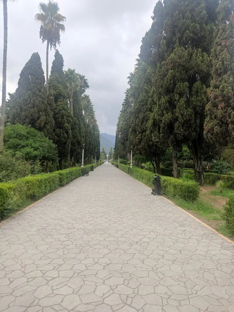 بلوار کازینو رامسر - تصویر 3