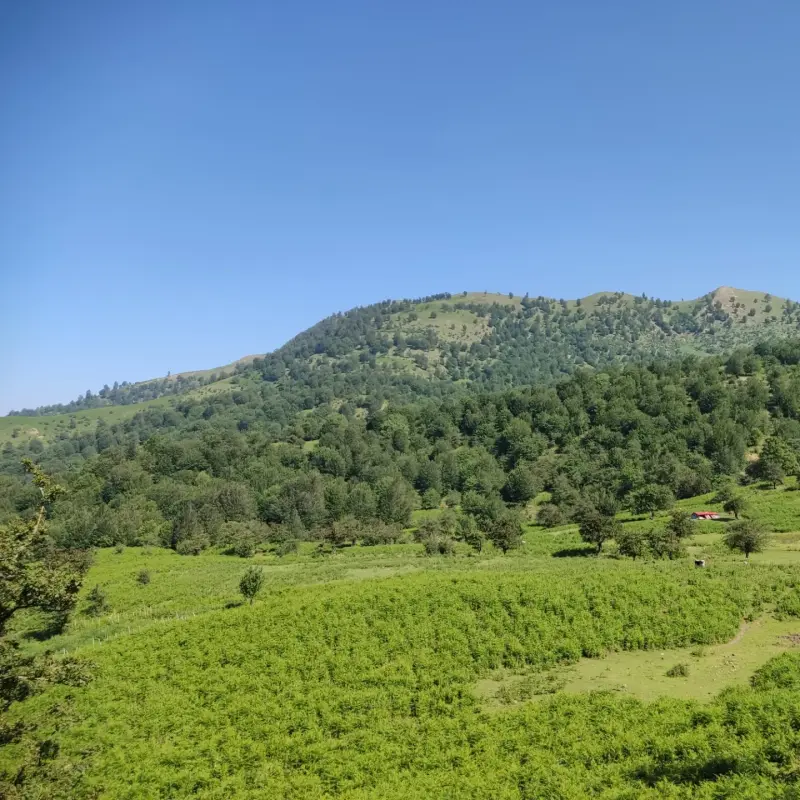 ییلاق للندیز - تصویر 1