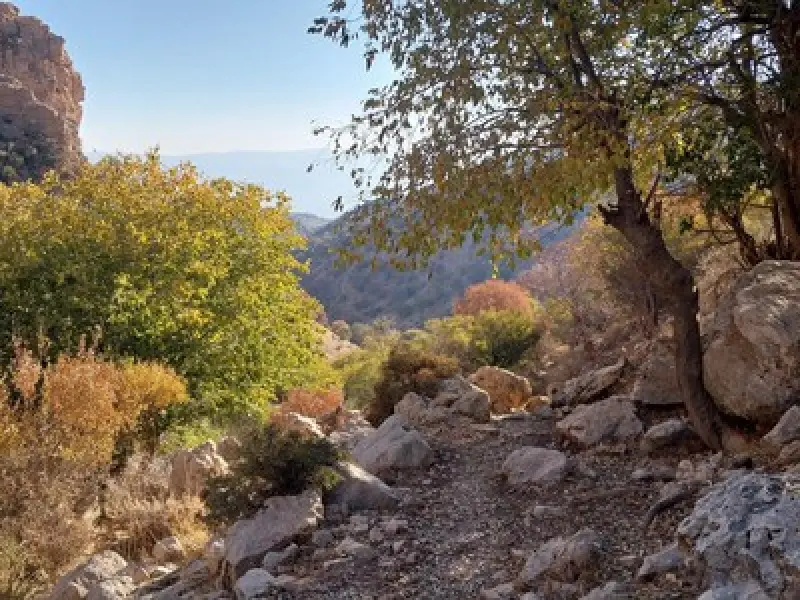 تنگ خانی - تصویر 1