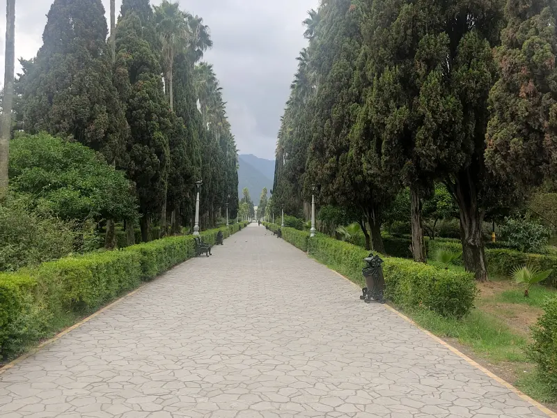 بلوار کازینو رامسر - تصویر 3