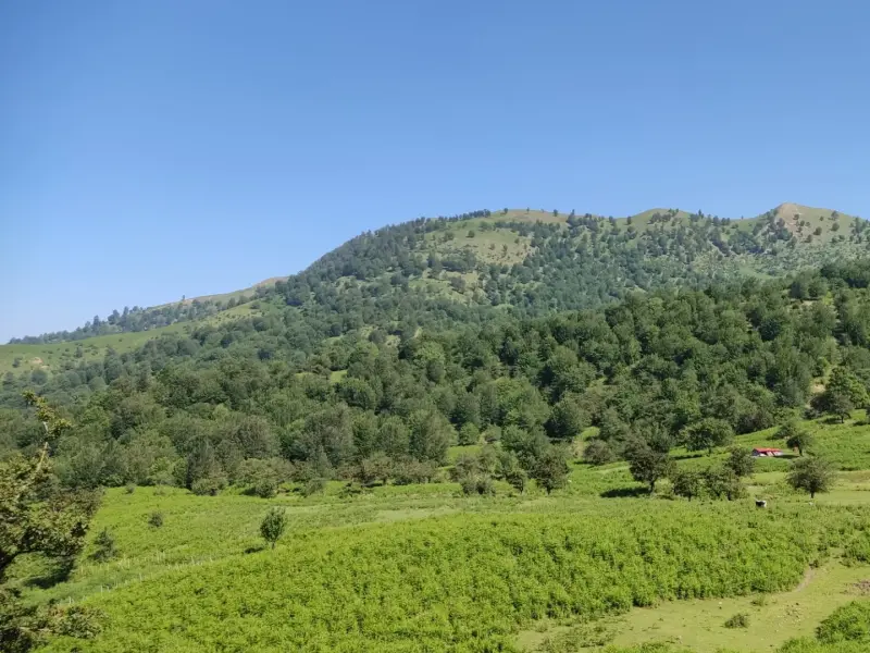ییلاق للندیز - تصویر 1