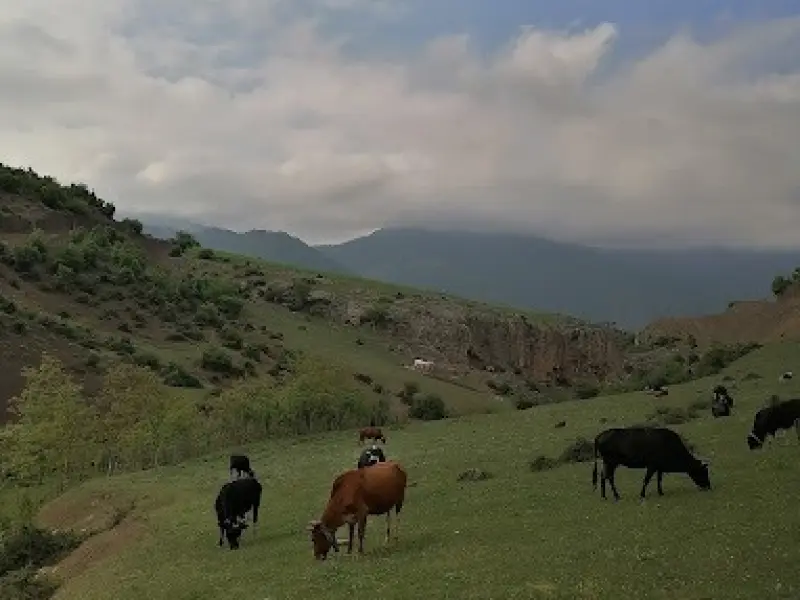 منطقه حفاظت‌شده واز