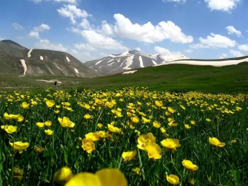 کوه سهند - تصویر 2