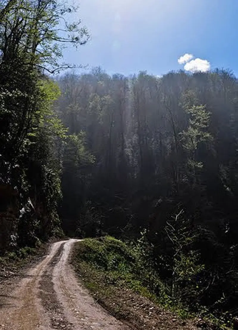 آبشار تودارک - تصویر 3