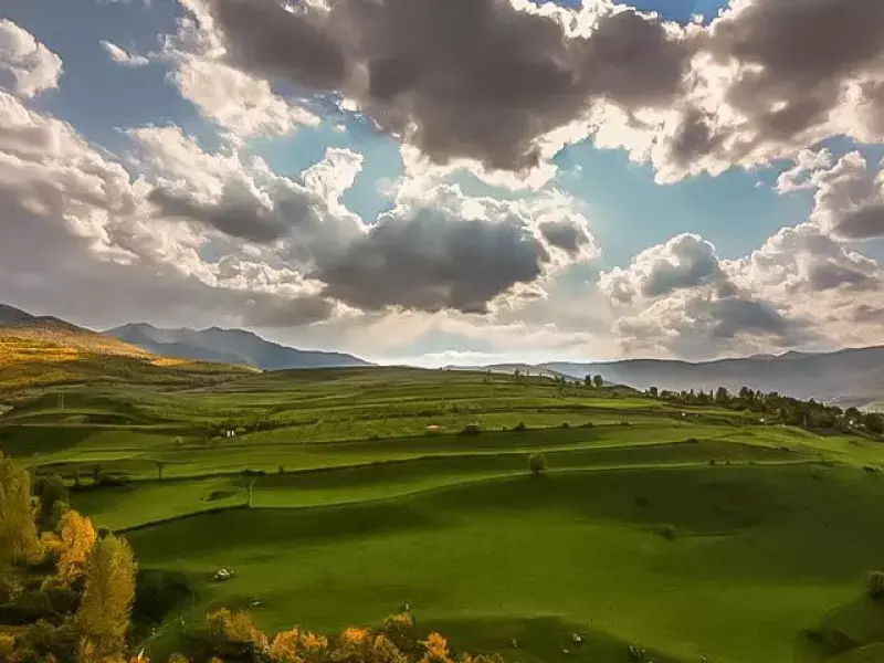 جنگل ارسباران - تصویر 1