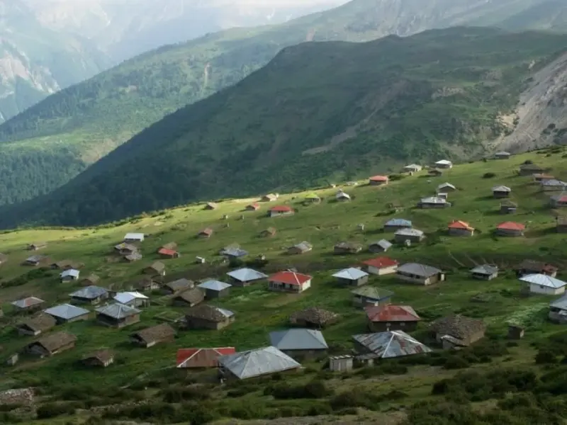 ییلاق داکو
