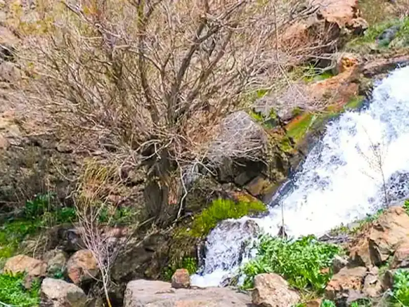 روستای ورمقان - تصویر 1