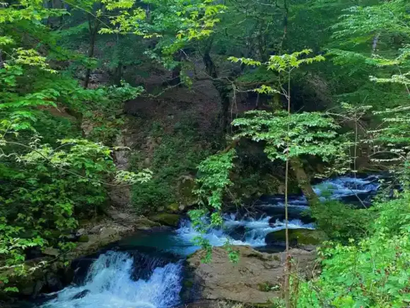 غار آبی دیورش - تصویر 2