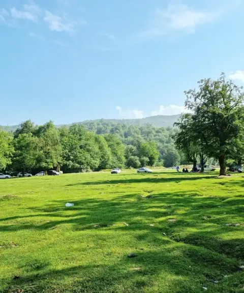 پارک جنگلی و چمن مکارود، مازندران