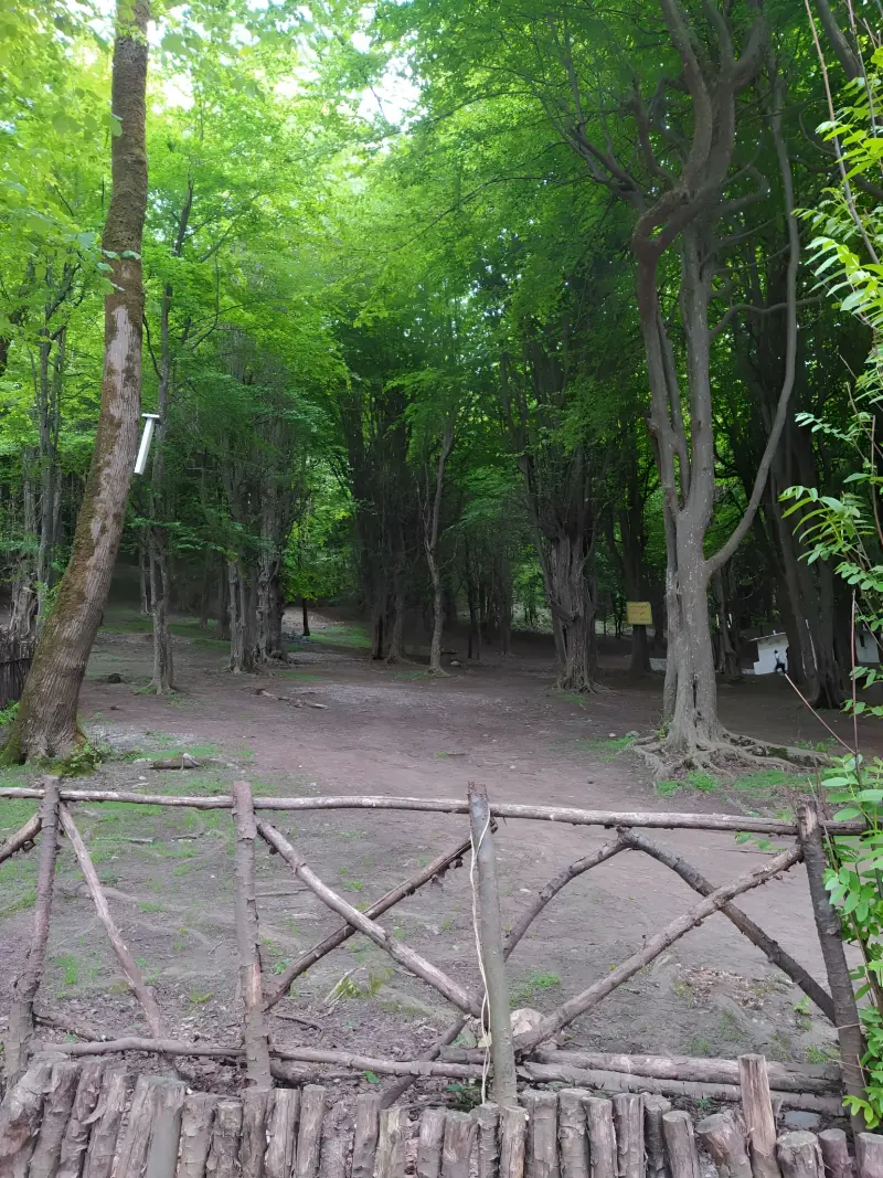 پارک جنگلی درنیکا - تصویر 6