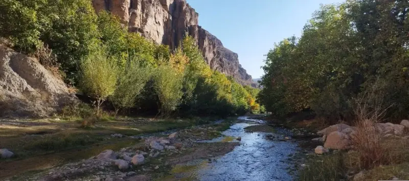 دره آل - تصویر 7