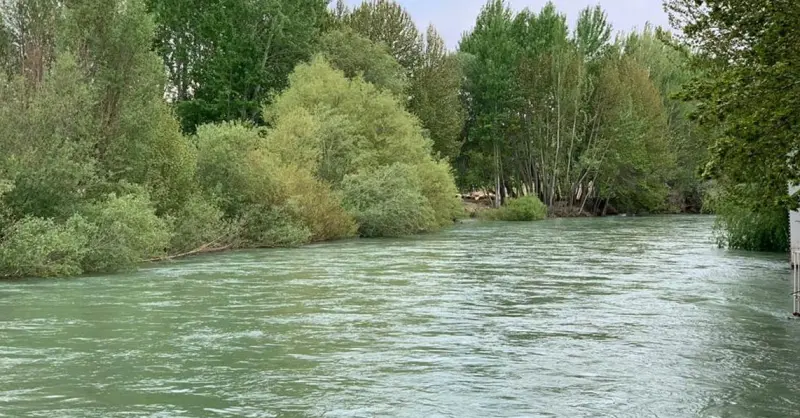 باغ‌بهادران - تصویر 7