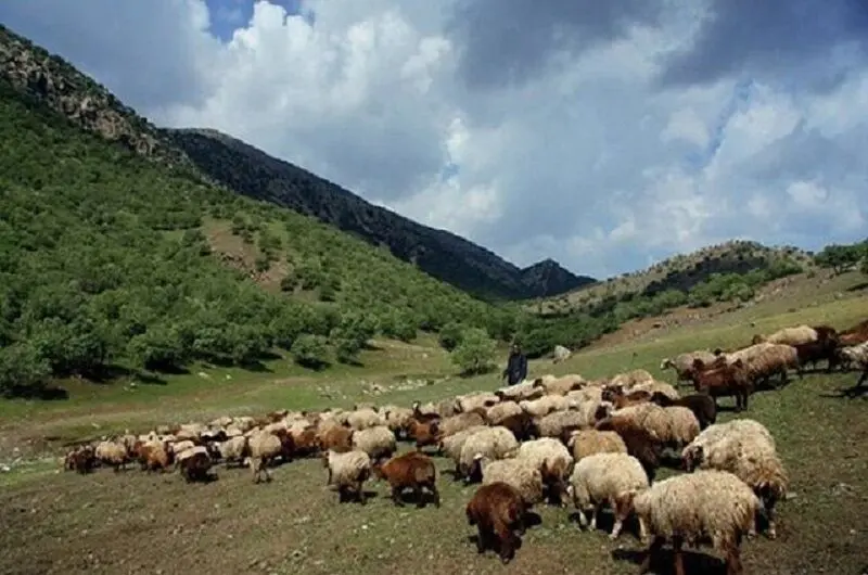 پارک ملی موته - تصویر 3