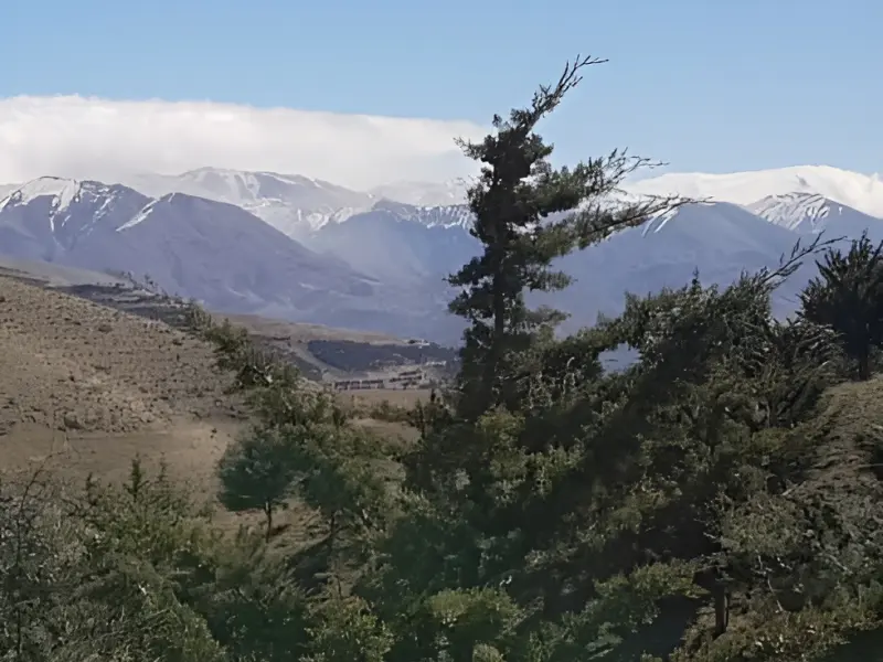 پارک جنگلی سوهانک - تصویر 6