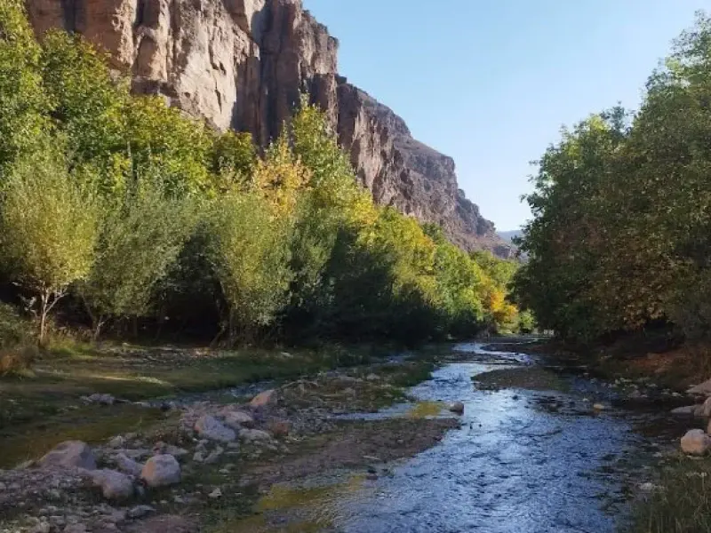 دره آل - تصویر 7