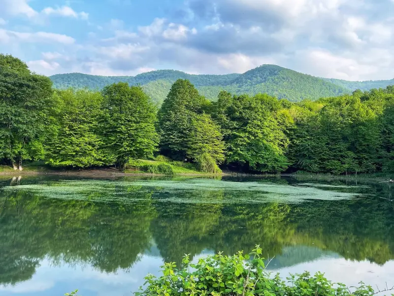 آب‌بندان باغ گلبن
