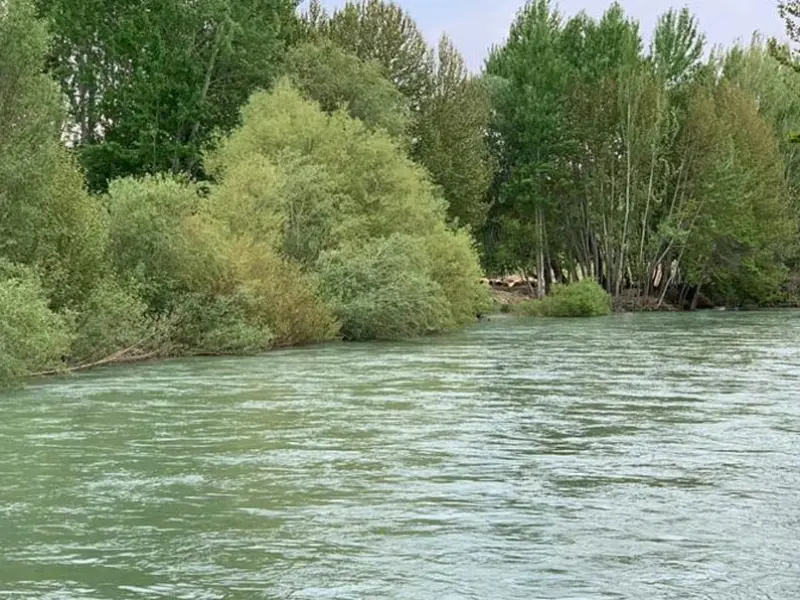 باغ‌بهادران - تصویر 7