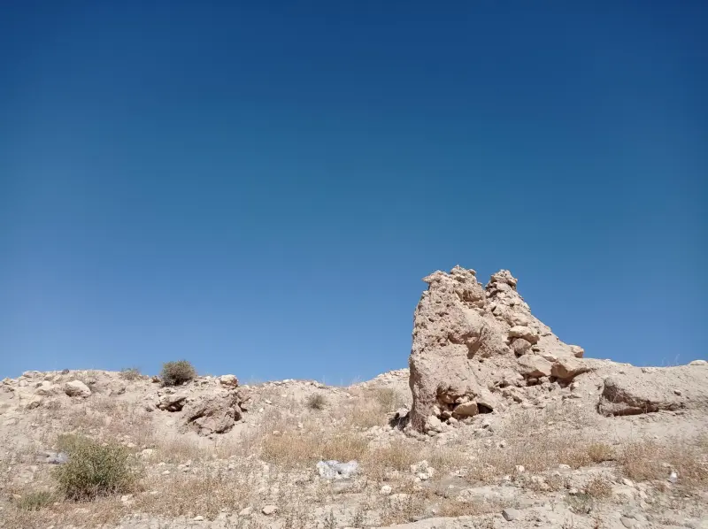 قلعه تاریخی الویر - تصویر 5