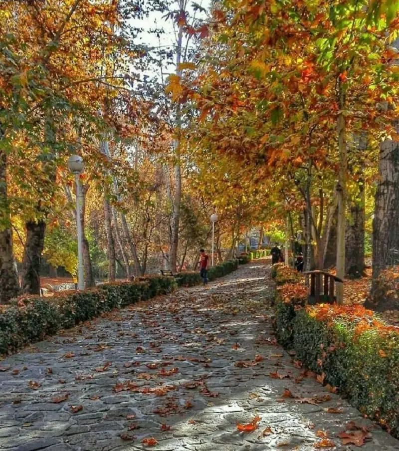 پارک وکیل‌آباد - تصویر 14