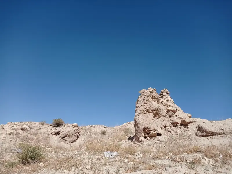 قلعه تاریخی الویر - تصویر 5