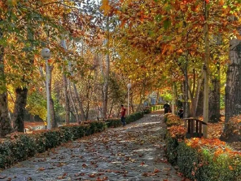 پارک وکیل‌آباد - تصویر 14