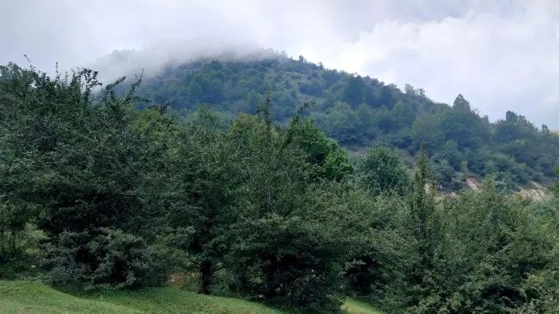 روستای سنگچال - تصویر 3