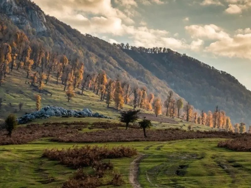 دشت مرکوه