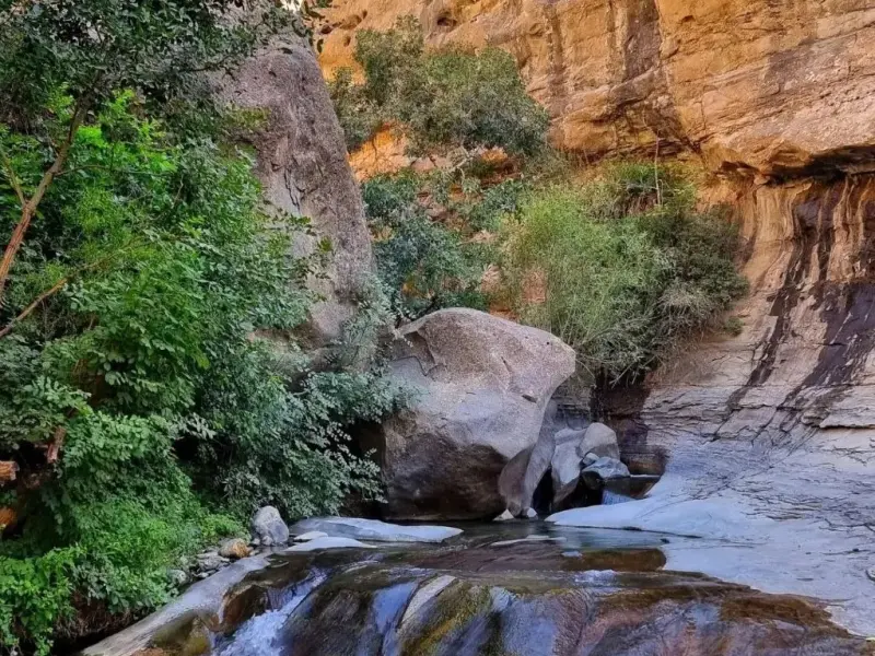 چال ماهی تهران - تصویر 5