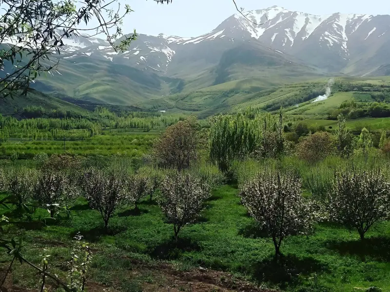 روستای ونایی