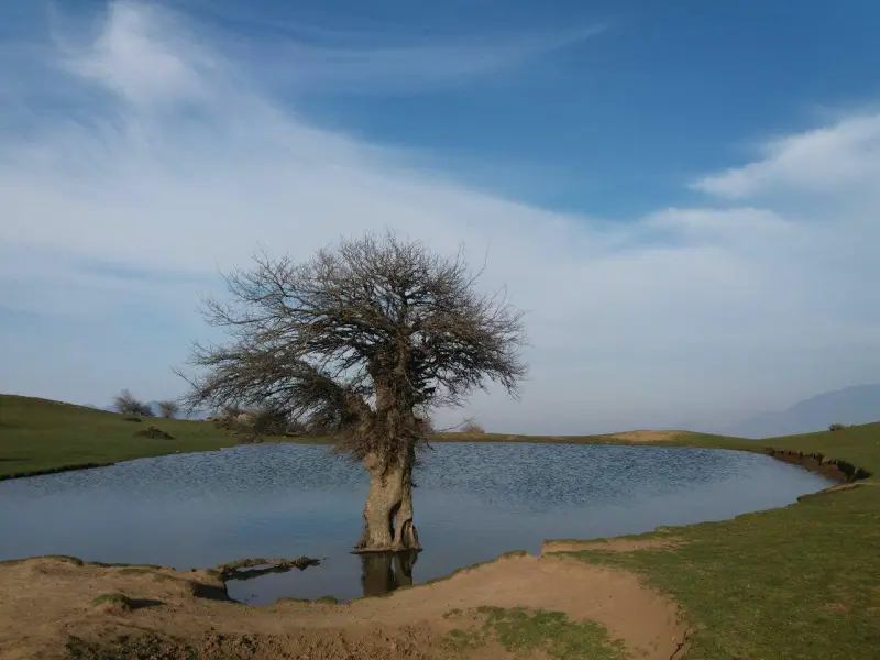 آبگیر گلدیان رودبار - تصویر 2
