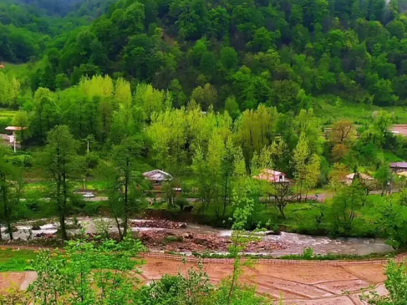 روستای فوشه - تصویر 10