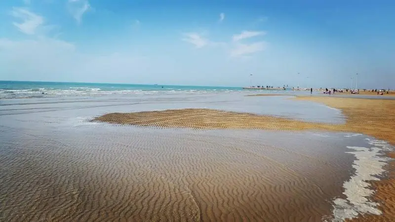 ساحل بندر دیلم - تصویر 1