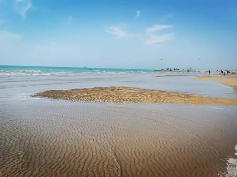 ساحل بندر دیلم - تصویر 1