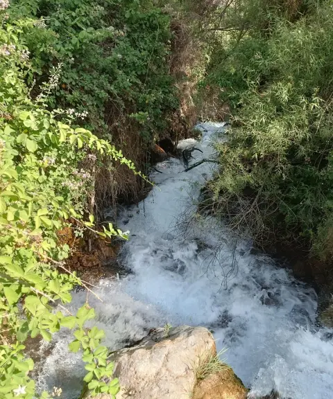 چشمه آب سفید، چهارمحال وبختیاری