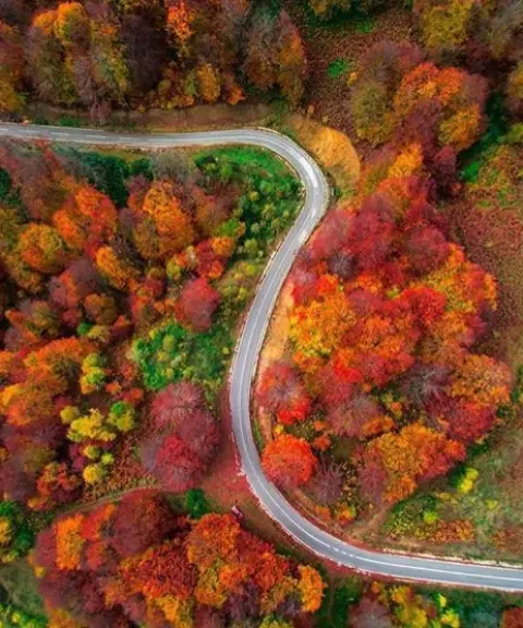 جنگل انجیلی، مازندران